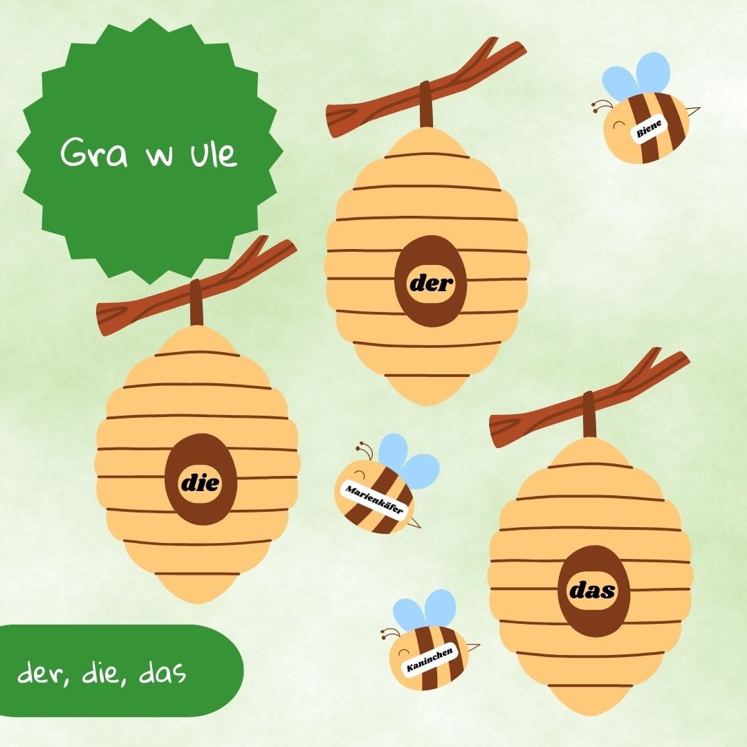 Gra w ule der, die, das